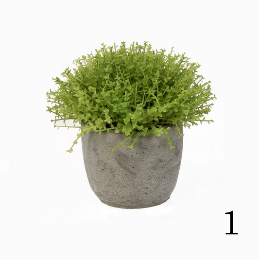 Faux Greenery in Cement