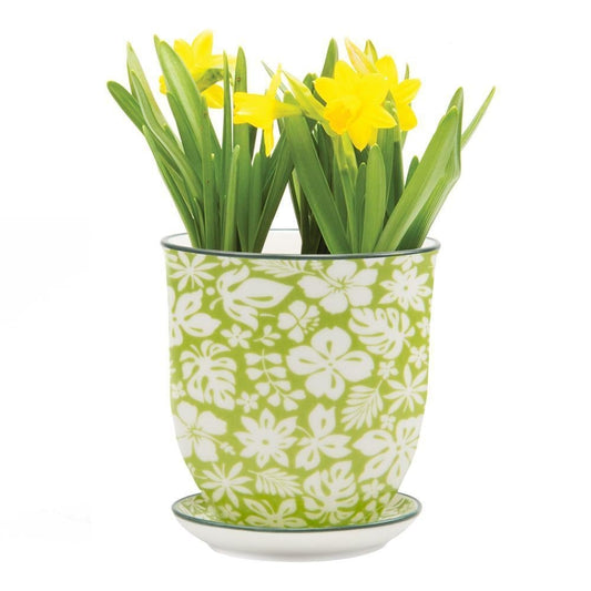 Teacup Inspired Pot and Saucer Planter