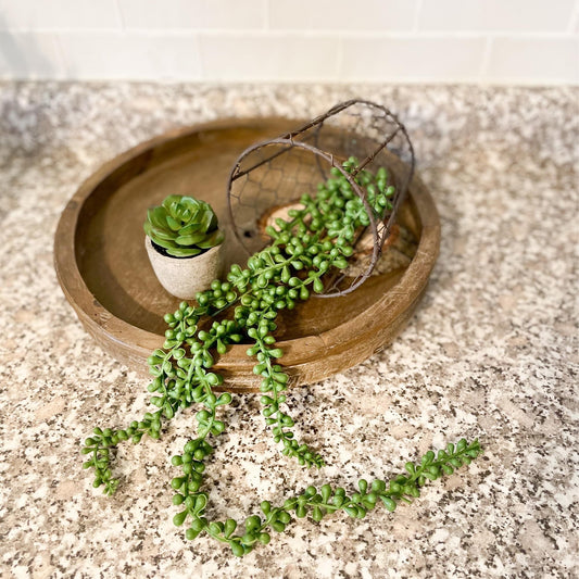 Trailing Succulent Strand 28"