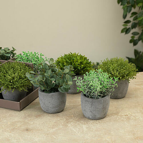 Faux Greenery in Cement