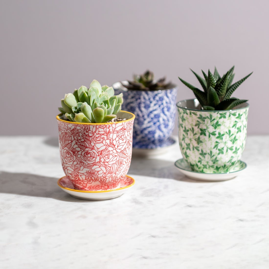 saucer planter Teacup Inspired Pot and Saucer Planter