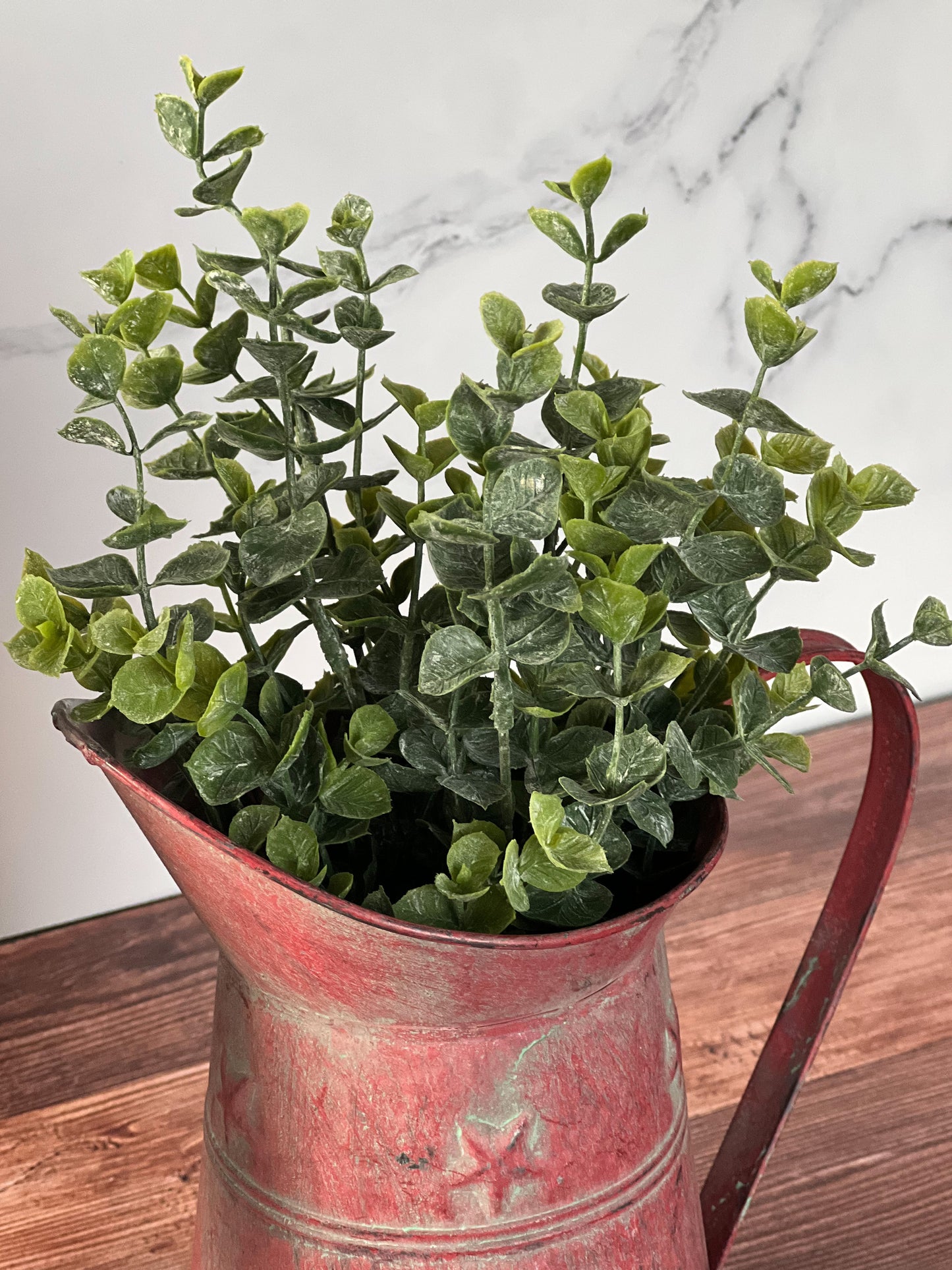 Eucalyptus Bush Spray