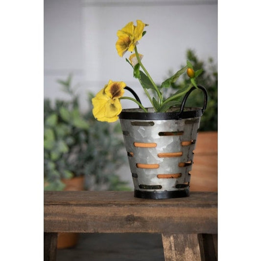 Mini Olive Bucket Planter