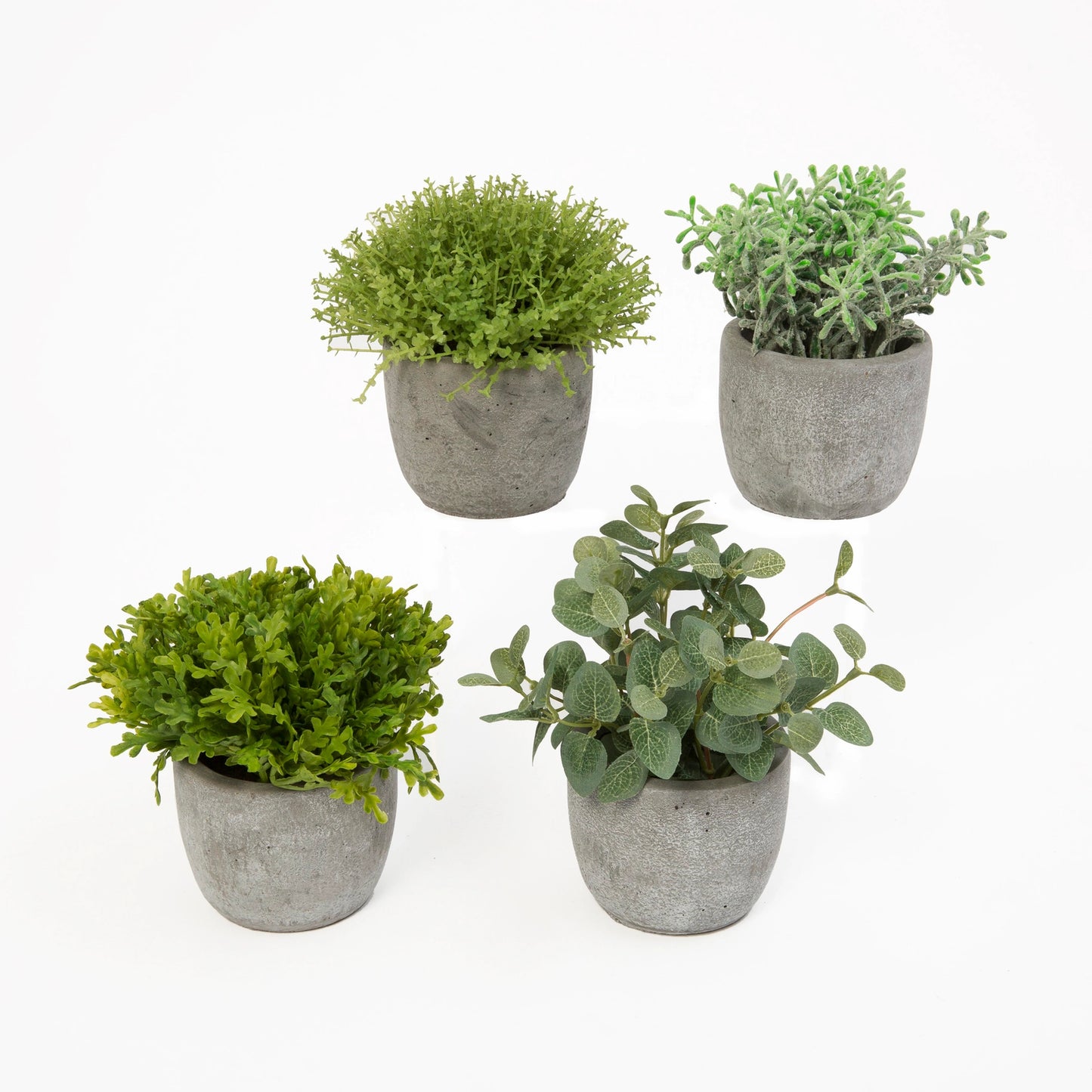 Potted Greenery 6.25"