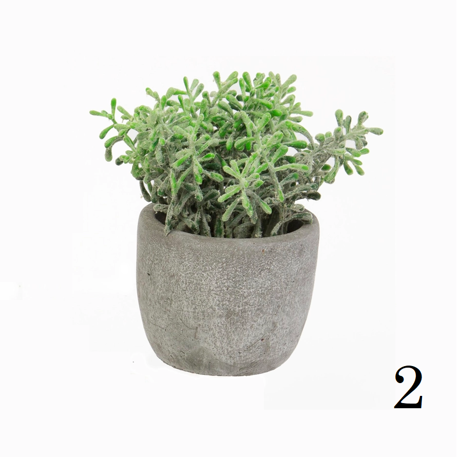 Potted Greenery 6.25"