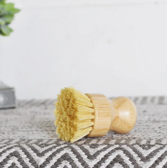 Mini Scrub Brush