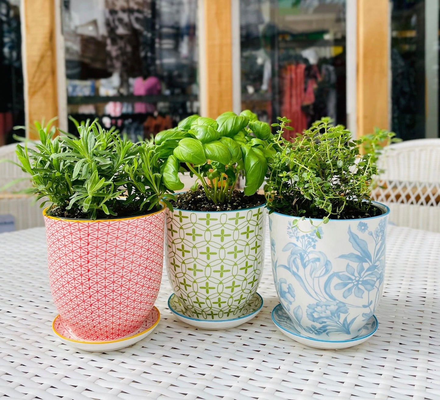 Teacup Inspired Pot and Saucer Planter 3.25"