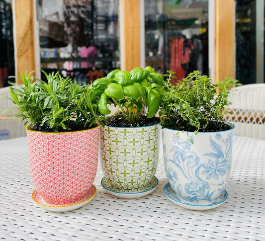 Teacup Inspired Pot and Saucer Planter 4.25"