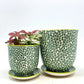 Teacup Inspired Pot and Saucer Planter 4.25"