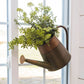 Copper Wall Mount Watering Can
