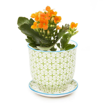 Teacup Inspired Pot and Saucer Planter 3.25"