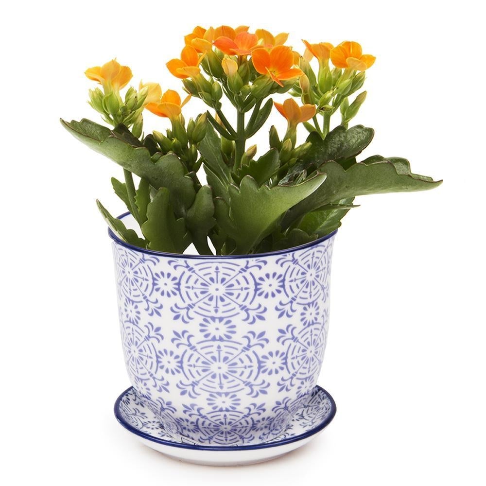 Teacup Inspired Pot and Saucer Planter 3.25"