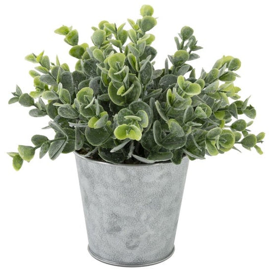 Bushy Sedum Metal Can Planter, $14, Rose City Home Decor