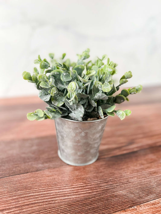 Bushy Sedum Metal Can Planter, $14, Rose City Home Decor