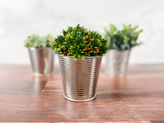 Yellow Bud Succulent in Metal Can Planter