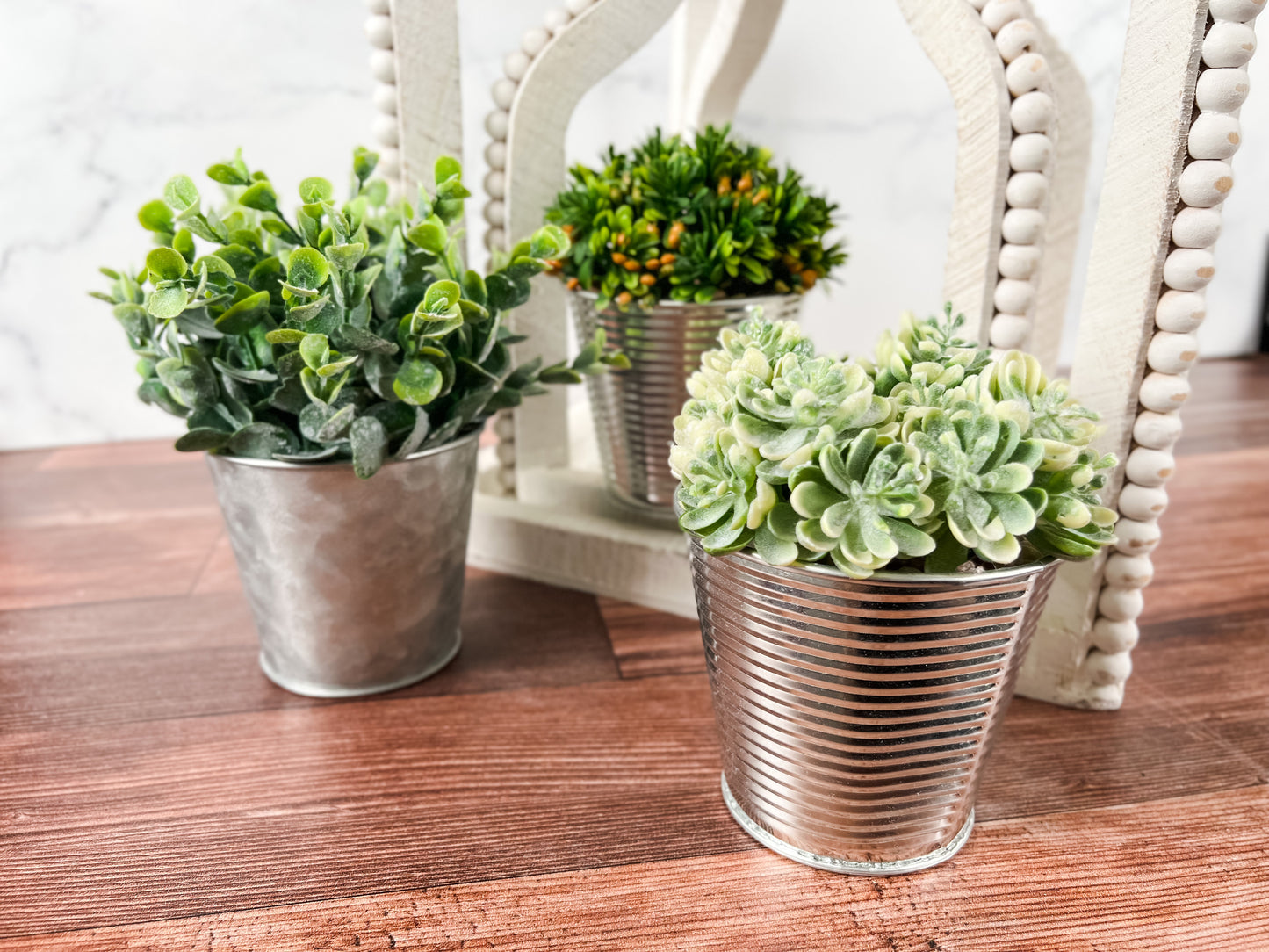 Yellow Bud Succulent in Metal Can Planter